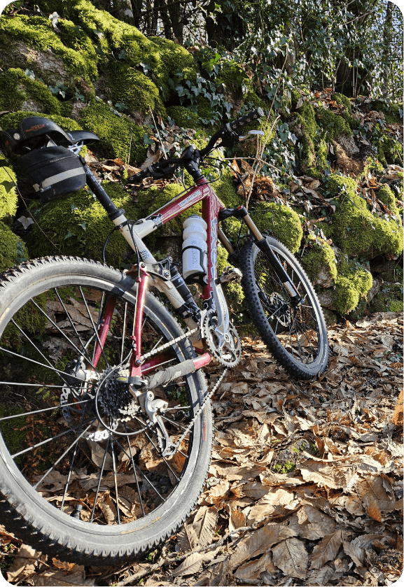 Le camping des Cèpes à la Salvetat-sur-Agout propose la location de VTT