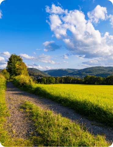 Visite d’un vignoble