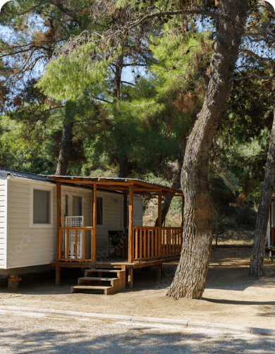 Emplacements spacieux et ombragés du camping des Cèpes dans le Haut-Languedoc