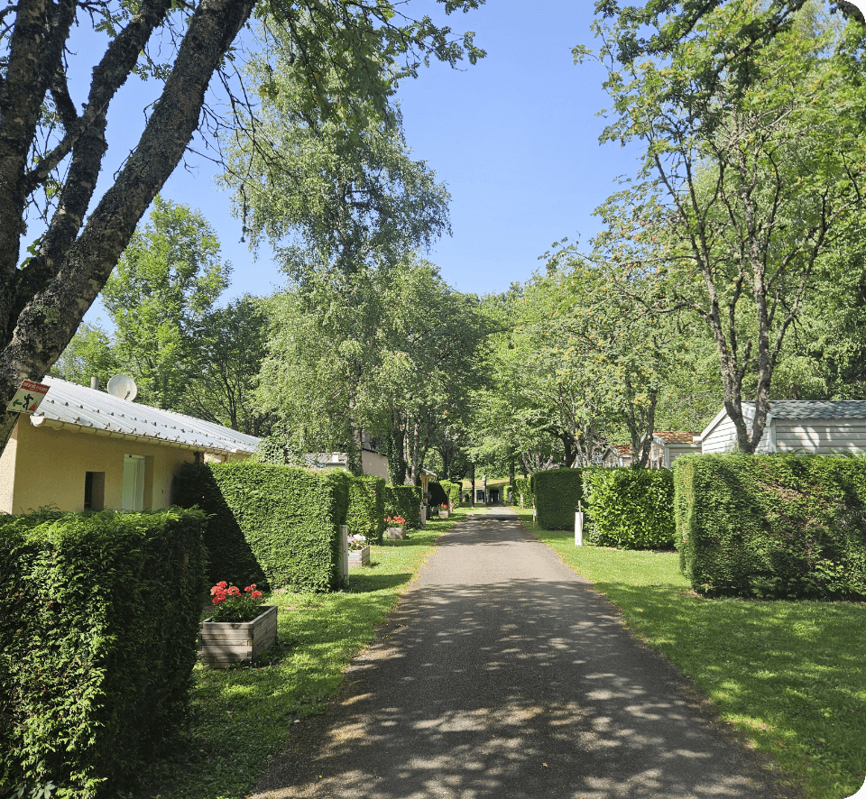 Parc des gîtes en location au camping des Cèpes à la Salvetat-sur-Agout