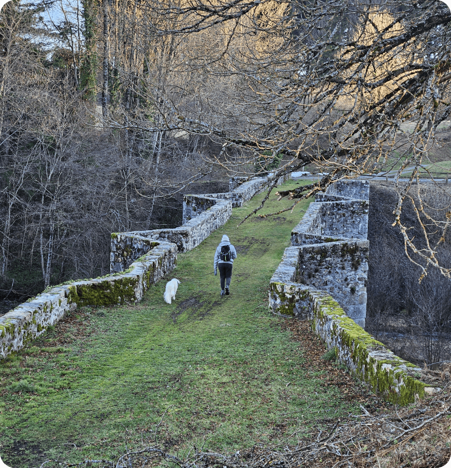 Hiking trails around Salvetat-sur-Agout