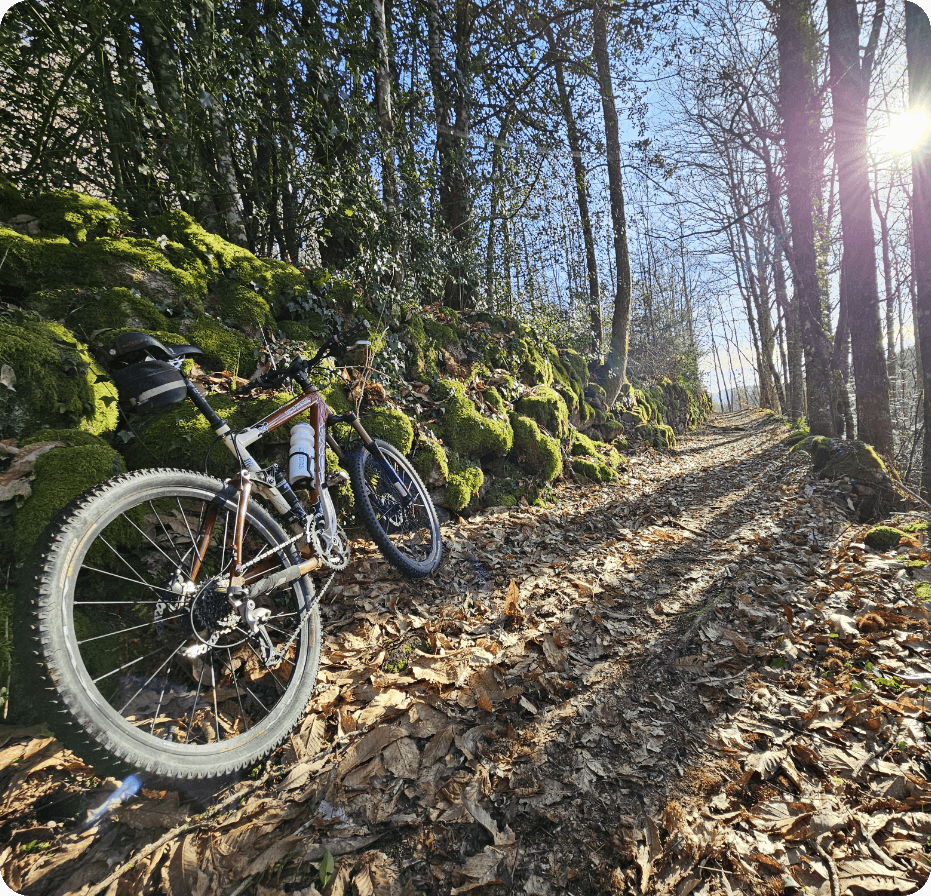 Explore the Haut-Languedoc Regional Park by mountain bike