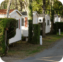 Vue extérieure des mobil-homes en location à la Salvetat-sur-Agout au camping des Cèpes